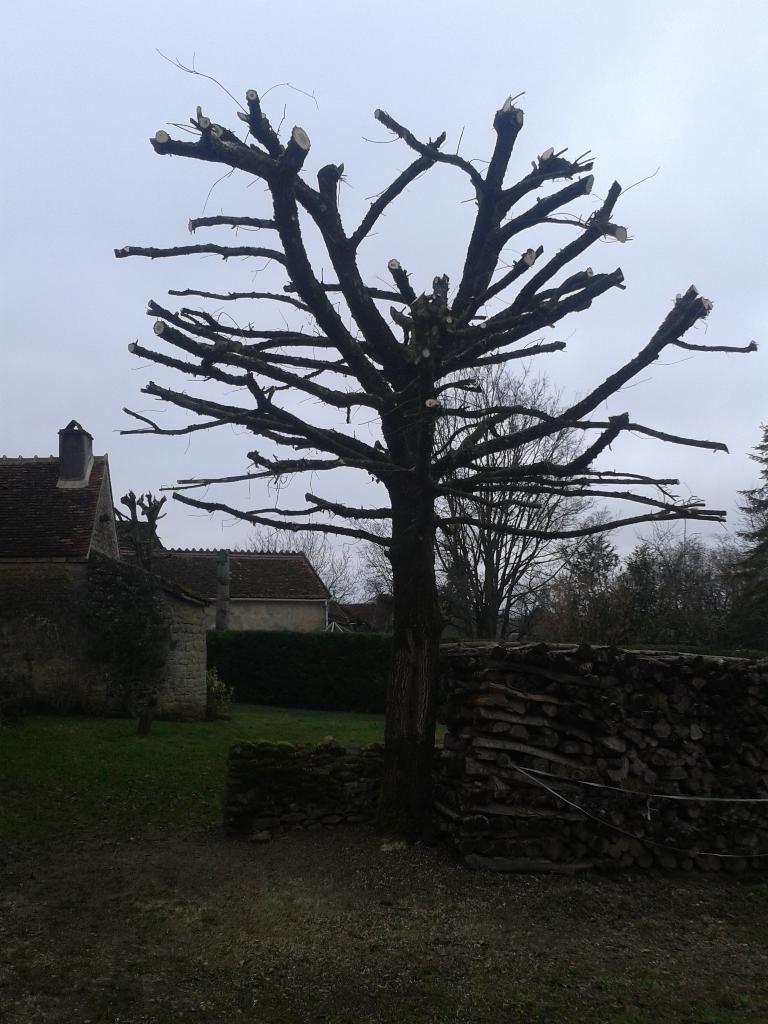 Photo d'illustration 2 sur 5