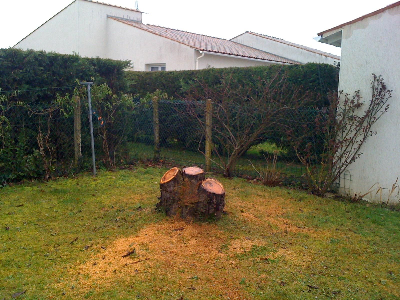 Photo d'illustration 4 sur 23