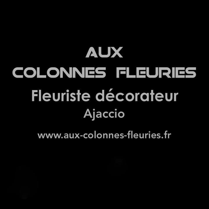Photo d'illustration 1 sur 63