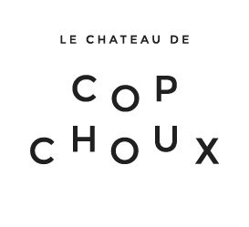 Photo d'illustration 1 sur 1