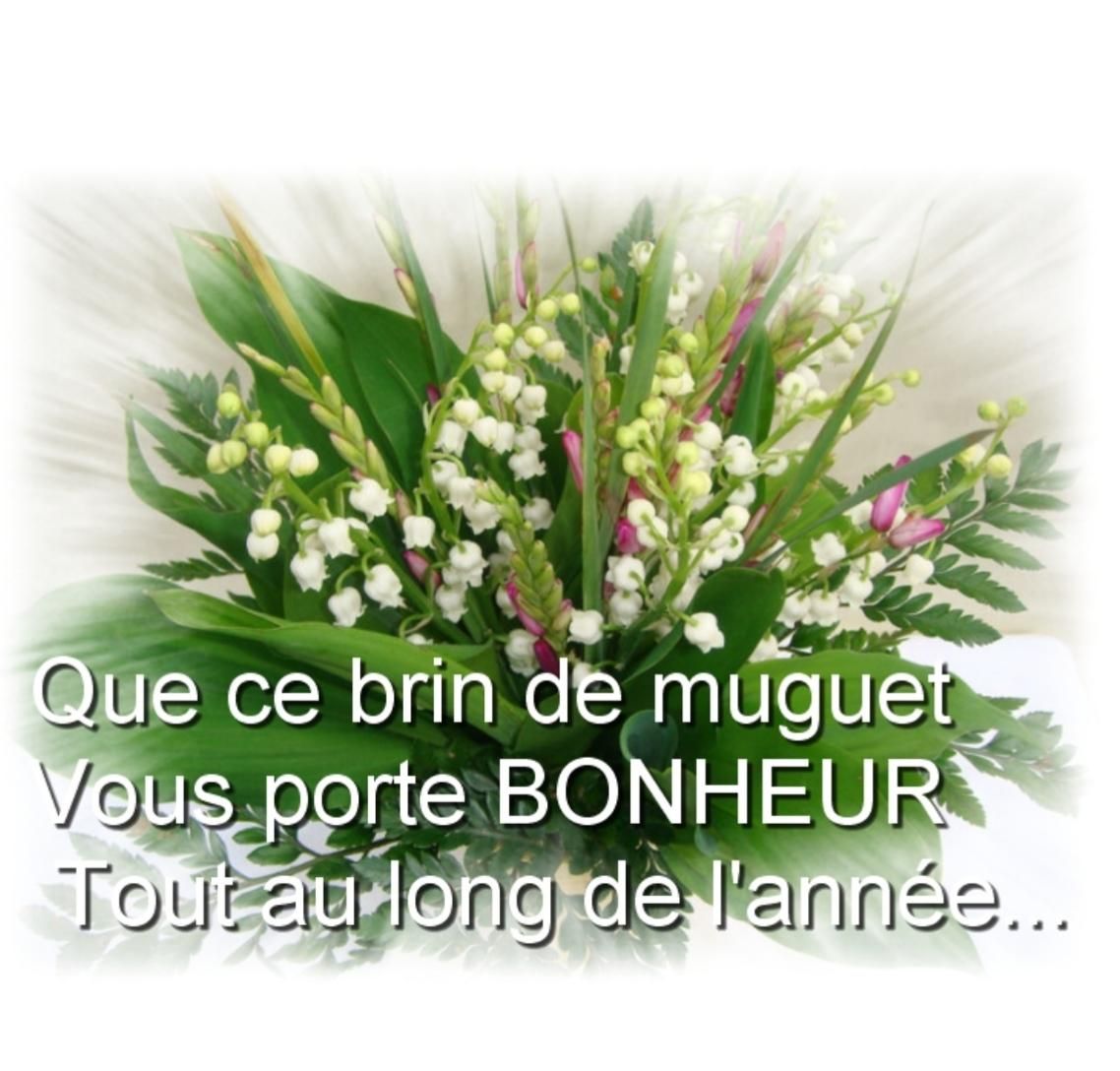 Photo d'illustration 2 sur 46