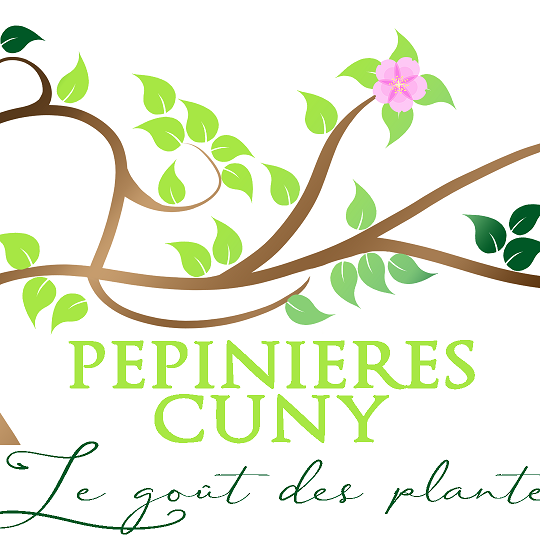 Photo d'illustration 1 sur 33