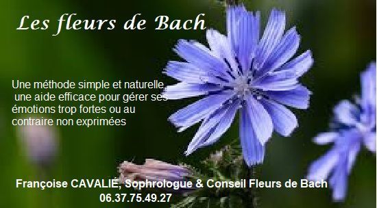 Photo d'illustration 2 sur 2