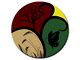 Photo d'illustration 1 sur 18