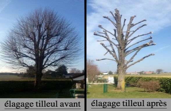 Photo d'illustration 4 sur 19