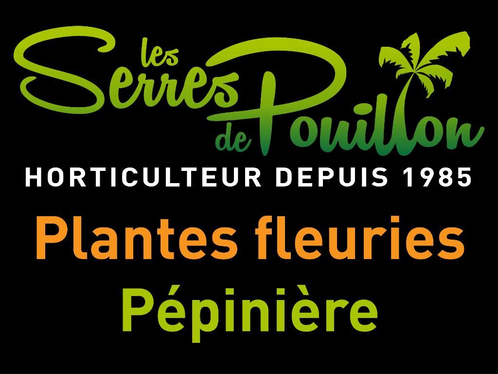 Photo d'illustration 3 sur 5