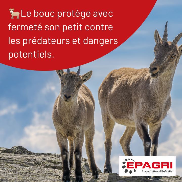 Photo d'illustration 3 sur 6