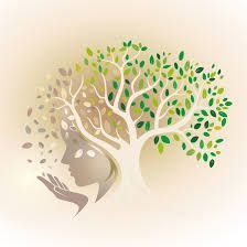 Photo d'illustration 1 sur 7