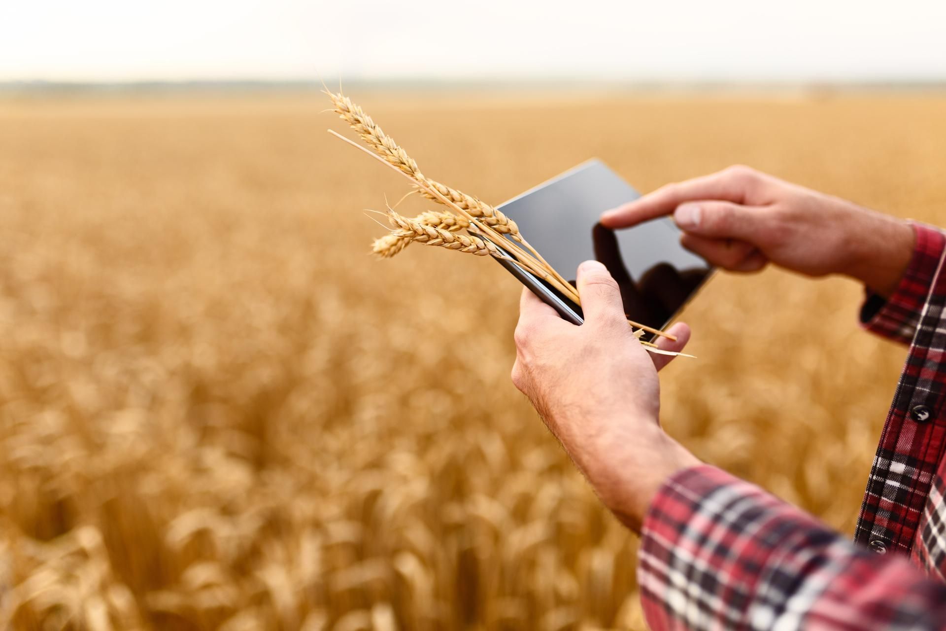 Photo d'illustration 3 sur 3