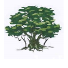 Photo d'illustration 1 sur 24
