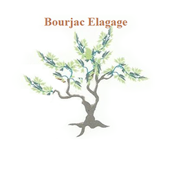 Photo d'illustration 1 sur 11