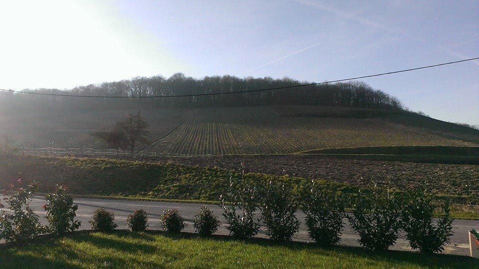 Photo d'illustration 2 sur 2