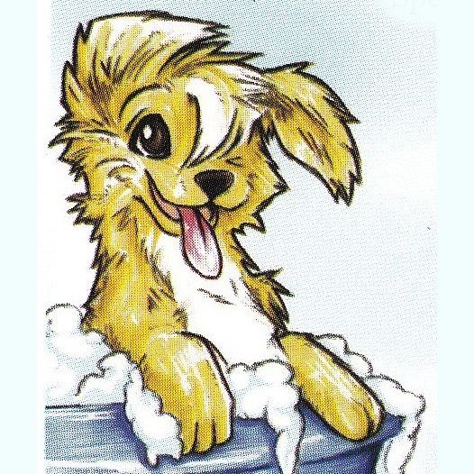 Photo d'illustration 3 sur 3