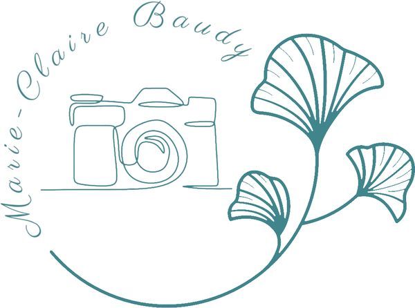 Photo d'illustration 1 sur 23