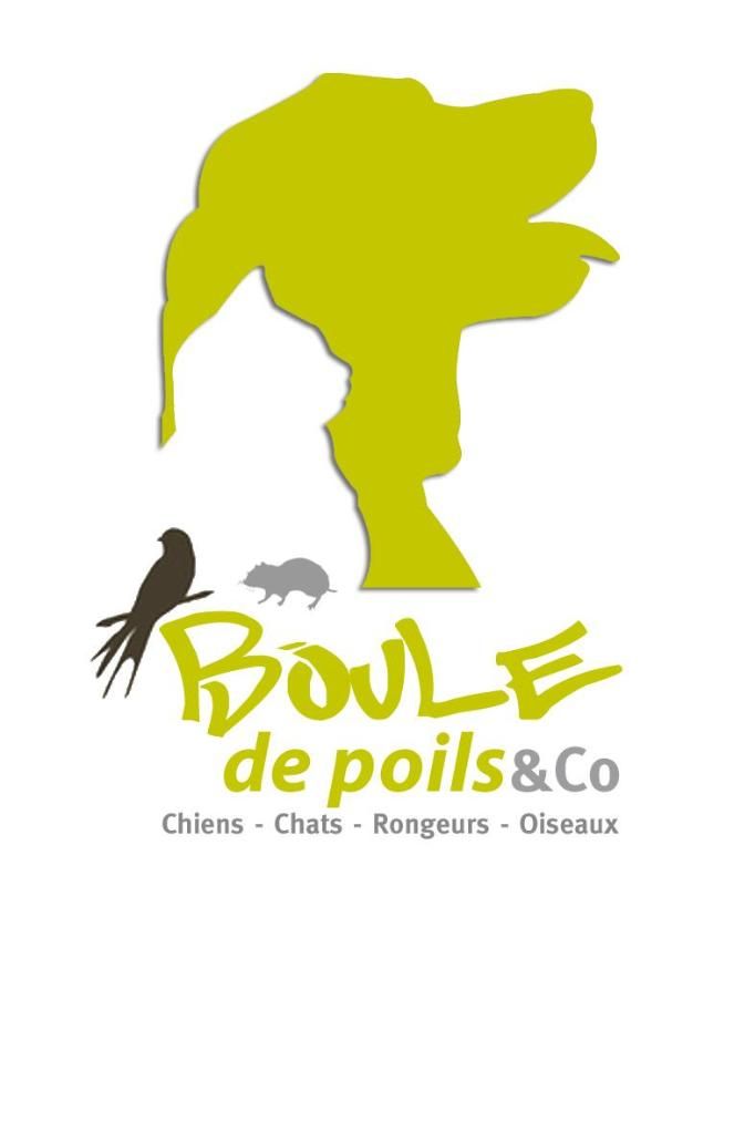 Photo d'illustration 1 sur 1