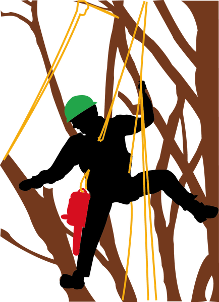 Photo d'illustration 2 sur 3