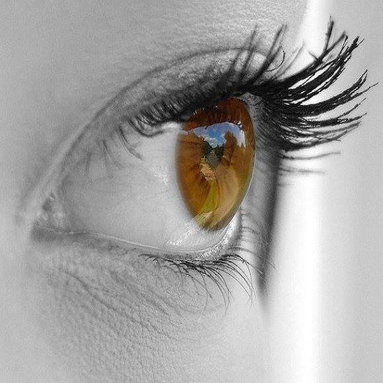 Photo d'illustration 3 sur 4