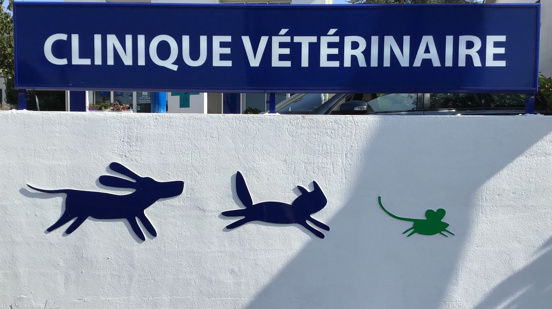 Photo d'illustration 4 sur 9