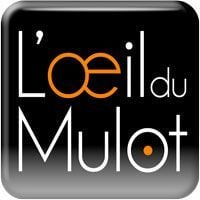 Photo d'illustration 1 sur 26