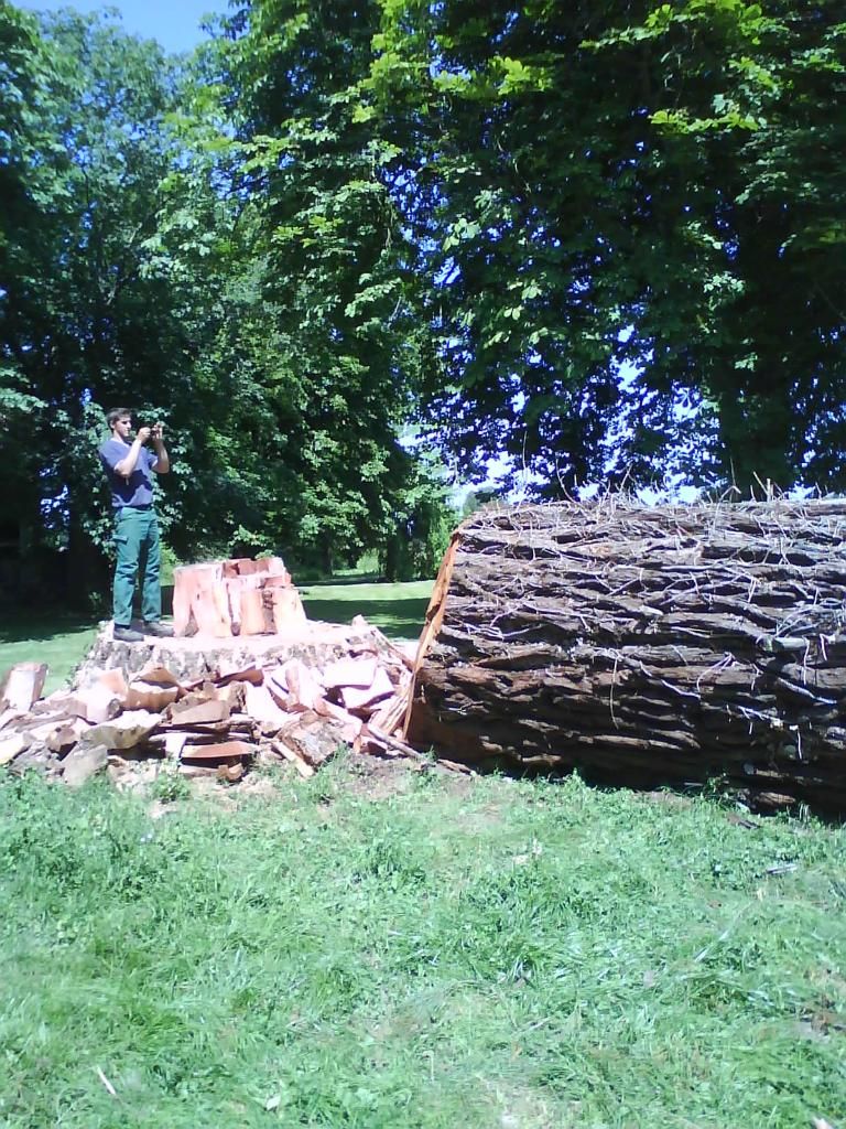 Photo d'illustration 1 sur 4