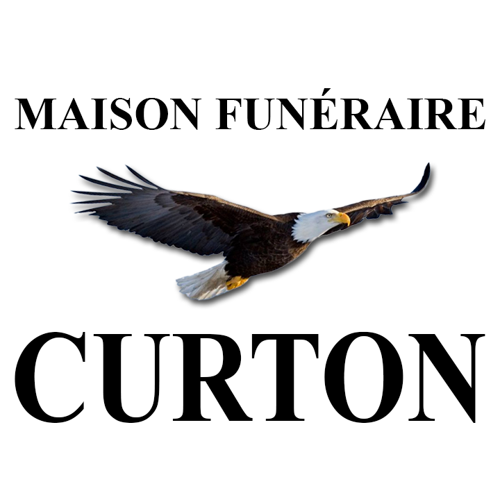 Photo d'illustration 1 sur 7