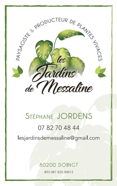Photo d'illustration 1 sur 1