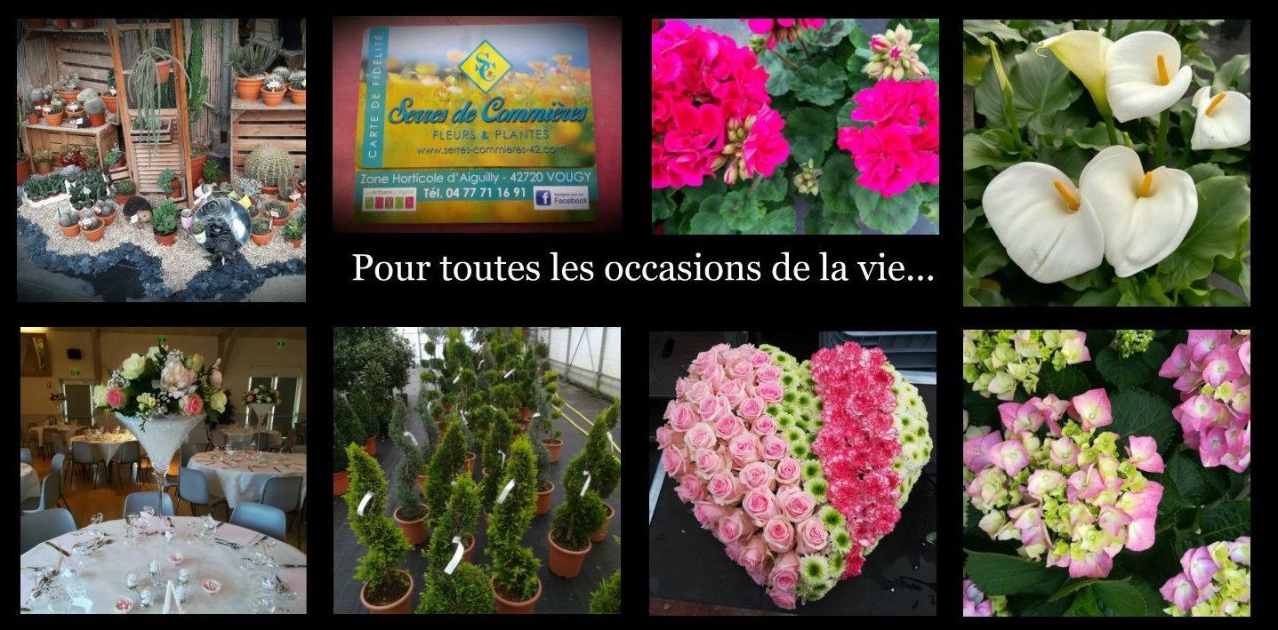 Photo d'illustration 4 sur 7