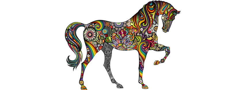 Photo d'illustration 3 sur 3