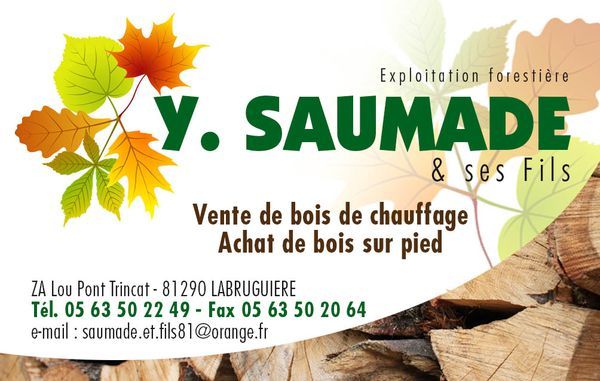 Photo d'illustration 1 sur 8