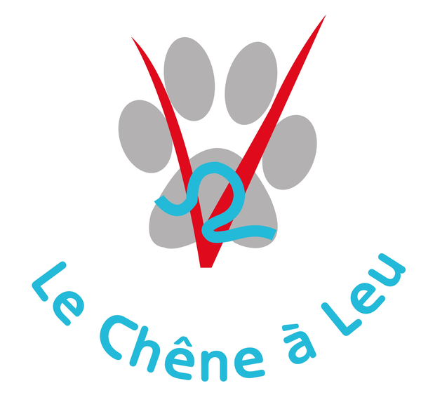 Photo d'illustration 1 sur 13