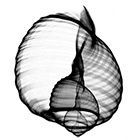 Photo d'illustration 1 sur 2