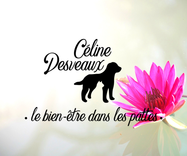 Photo d'illustration 1 sur 5