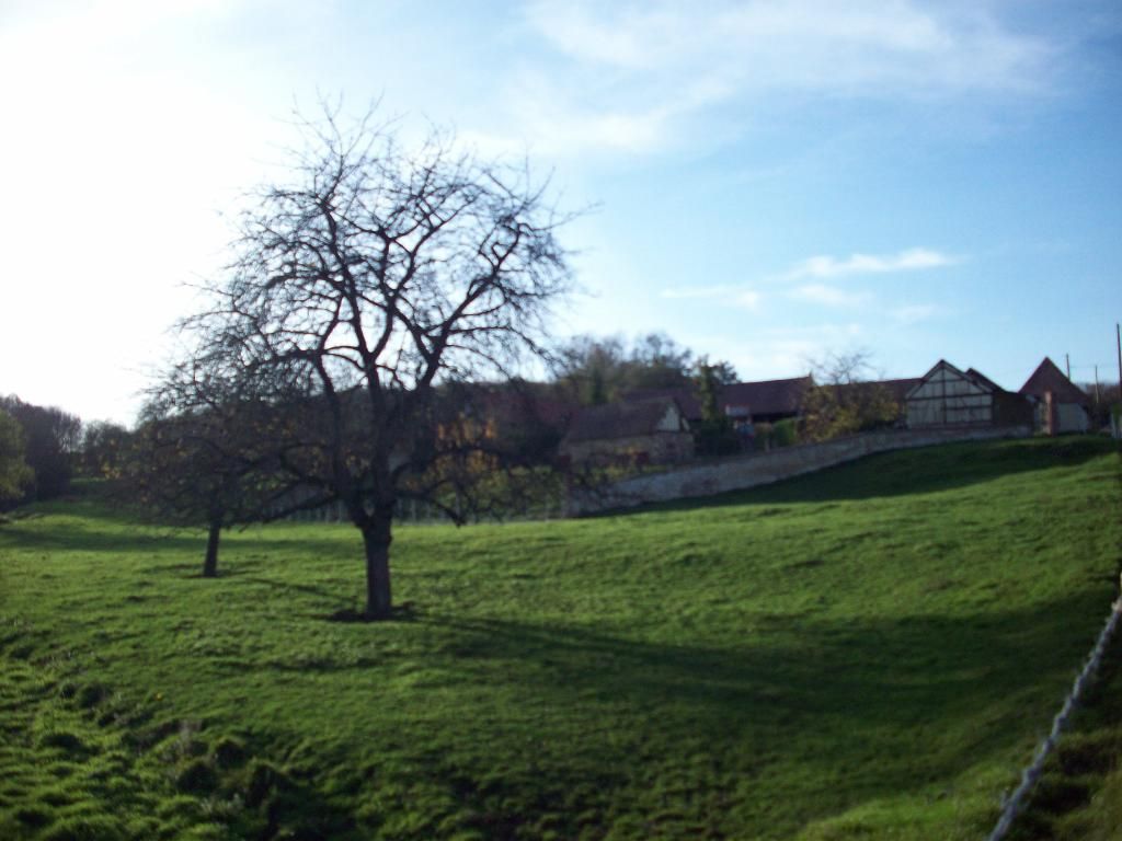 Photo d'illustration 4 sur 4