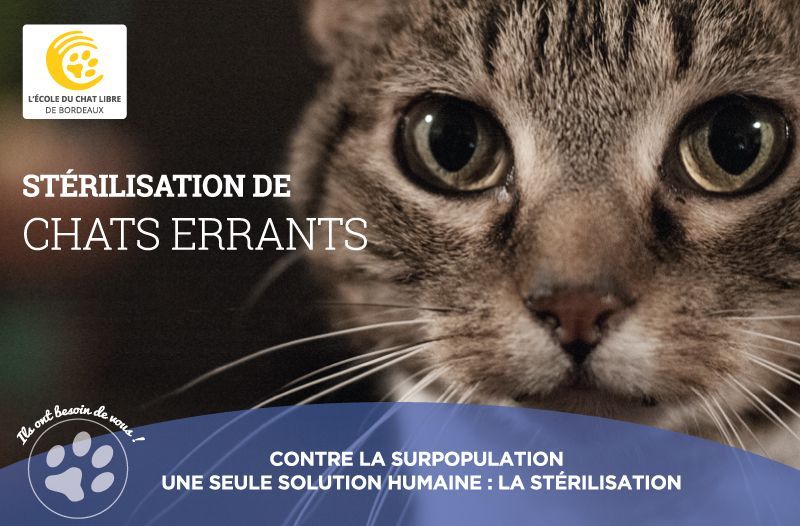 Photo d'illustration 4 sur 11