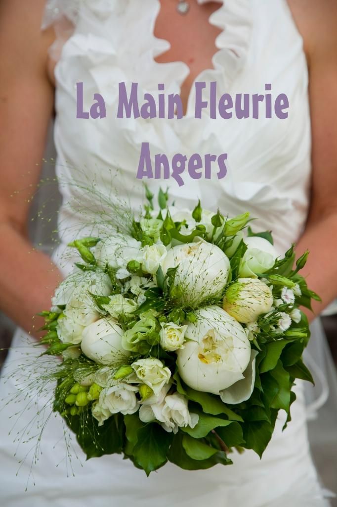 Photo d'illustration 1 sur 4