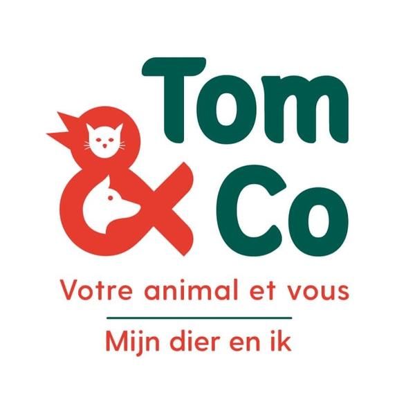 Photo d'illustration 1 sur 8