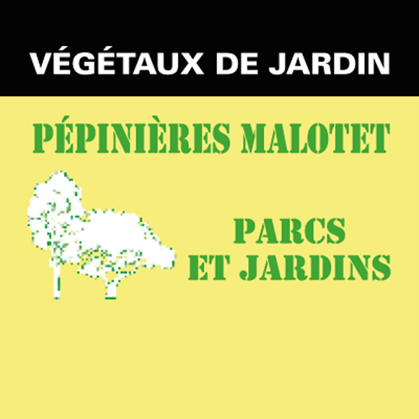 Photo d'illustration 1 sur 13