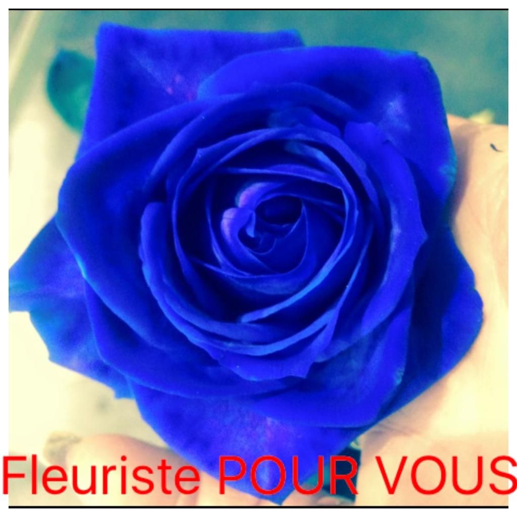 Photo d'illustration 2 sur 19