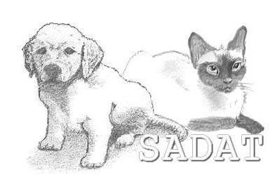 Photo d'illustration 3 sur 3