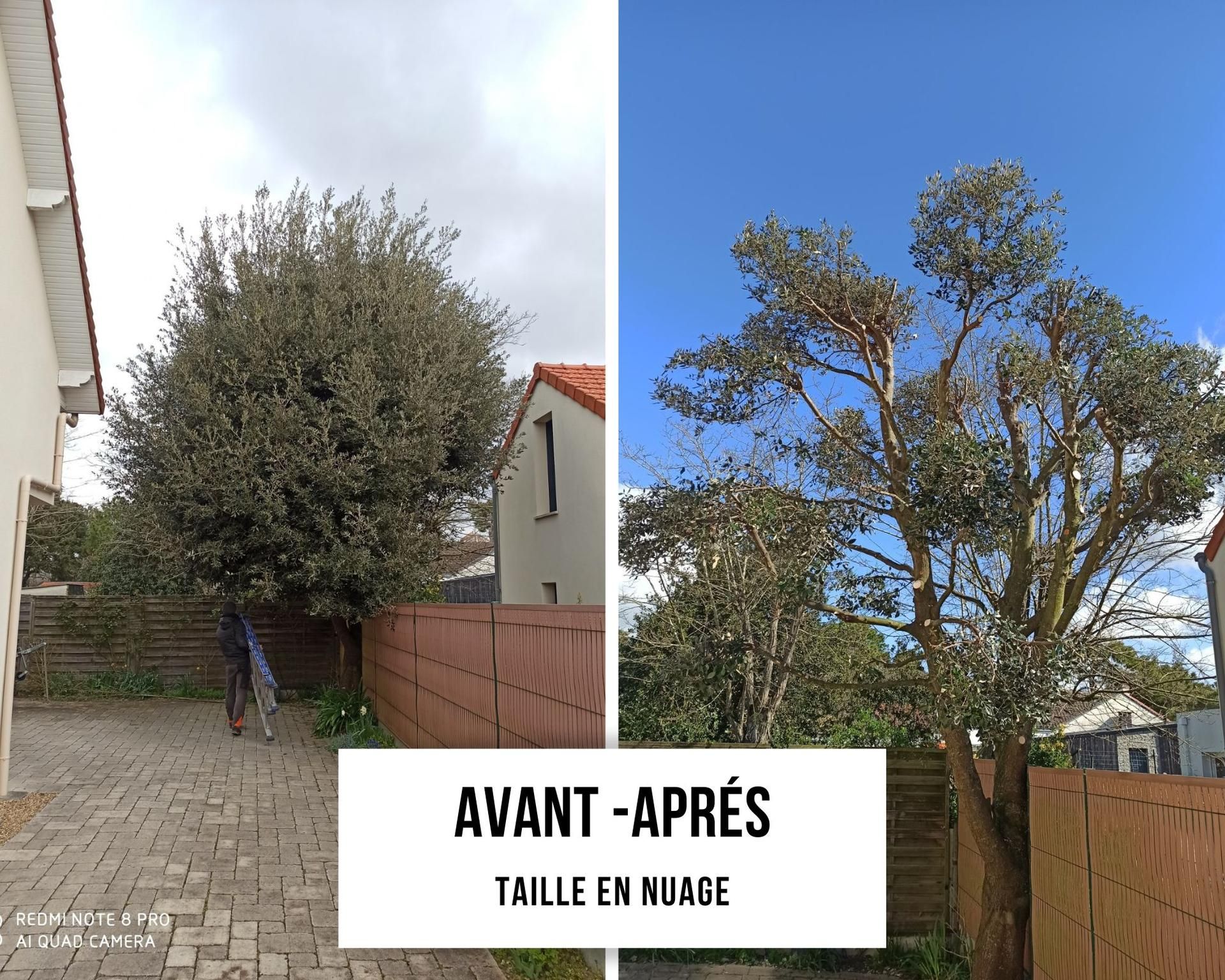 Photo d'illustration 2 sur 13