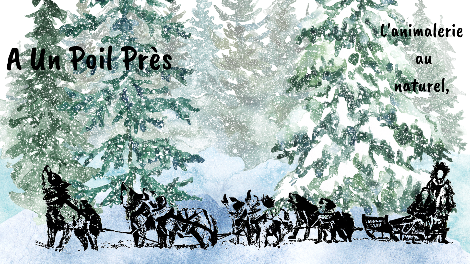 Photo d'illustration 1 sur 7