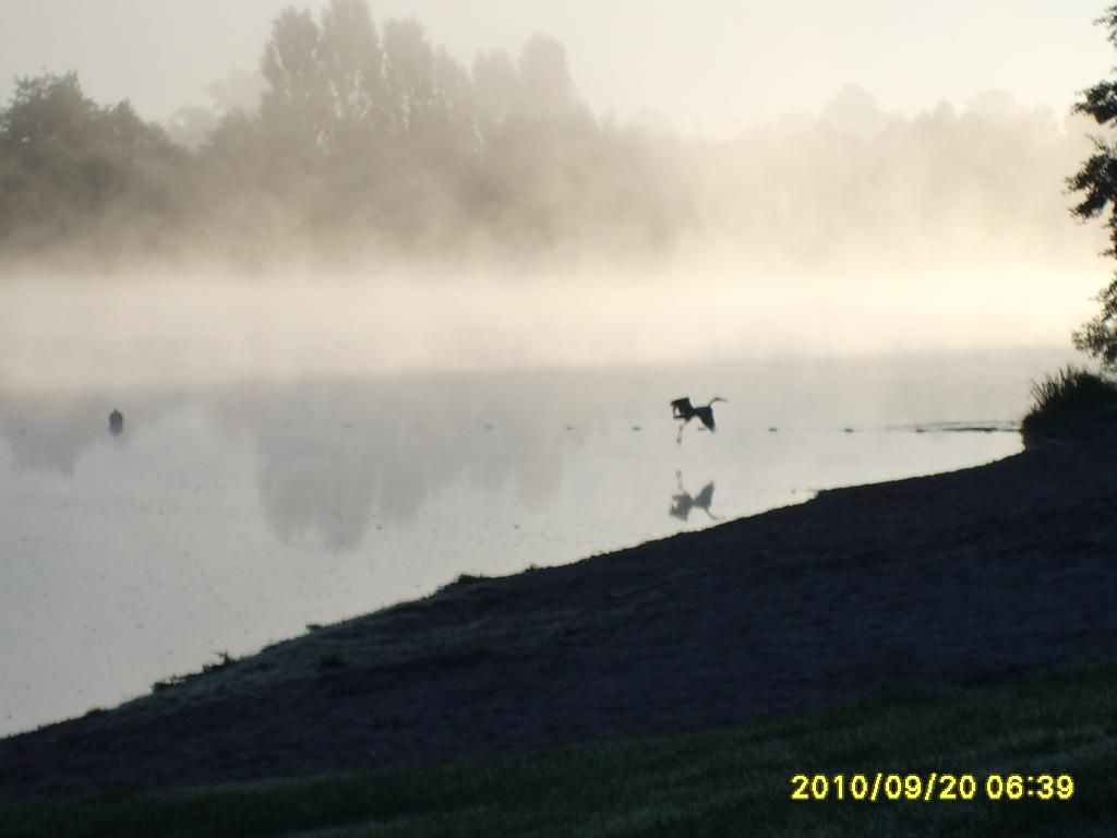 Photo d'illustration 2 sur 7