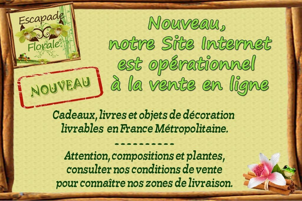 Photo d'illustration 4 sur 7