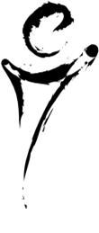 Photo d'illustration 4 sur 8