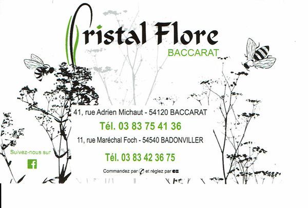 Photo d'illustration 1 sur 2