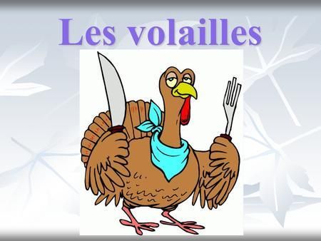 Photo d'illustration 1 sur 3
