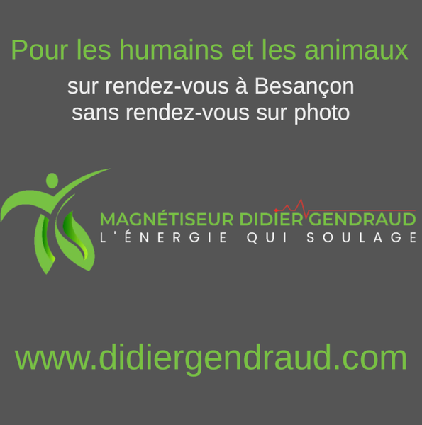 Photo d'illustration 1 sur 4