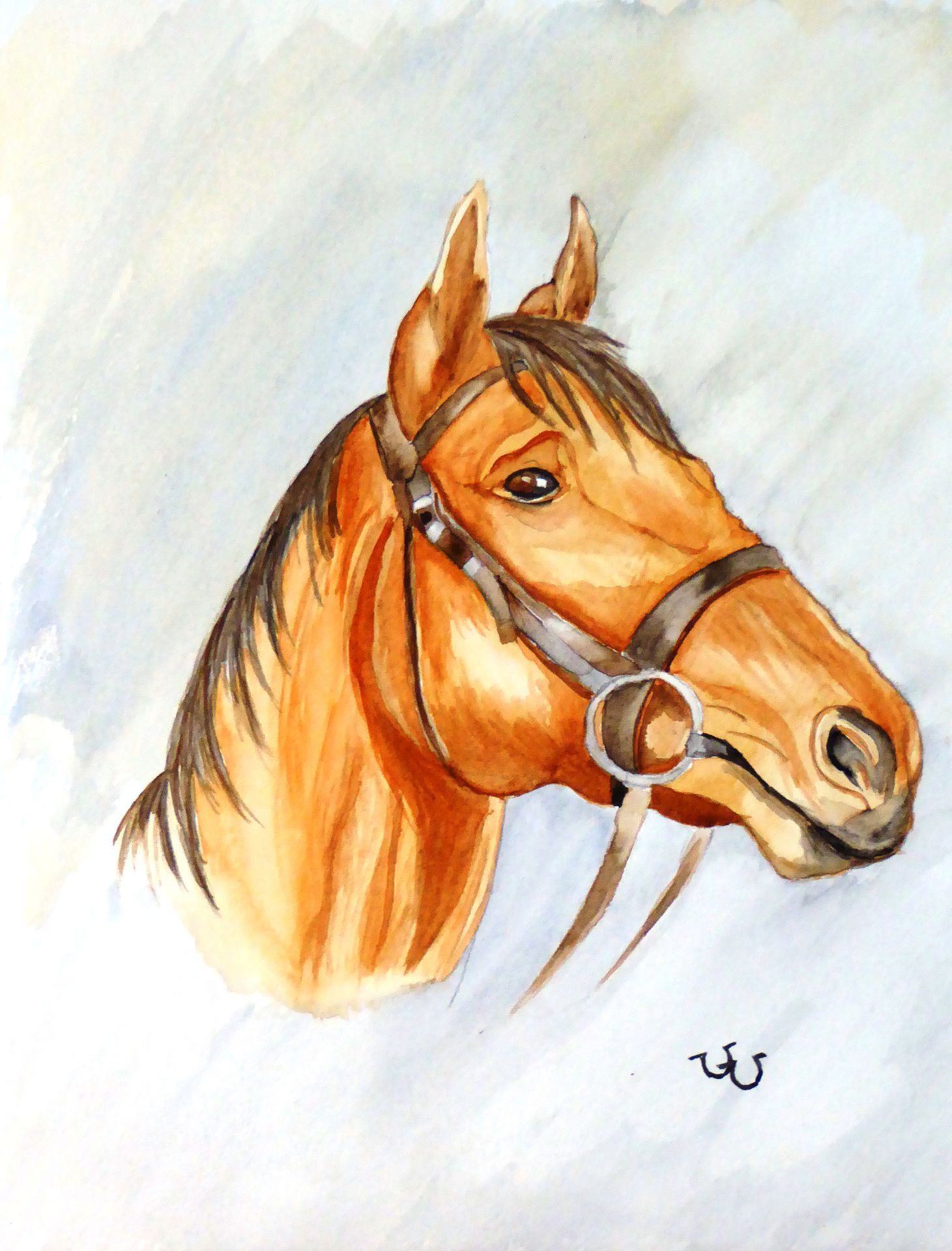 Photo d'illustration 3 sur 20
