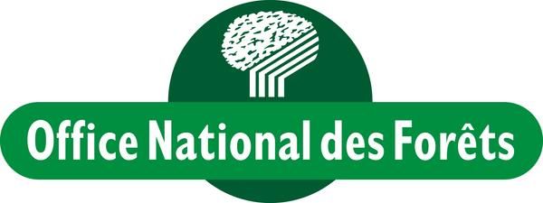 Photo d'illustration 1 sur 1