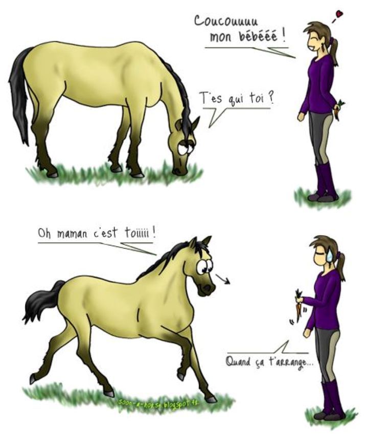 Photo d'illustration 4 sur 4